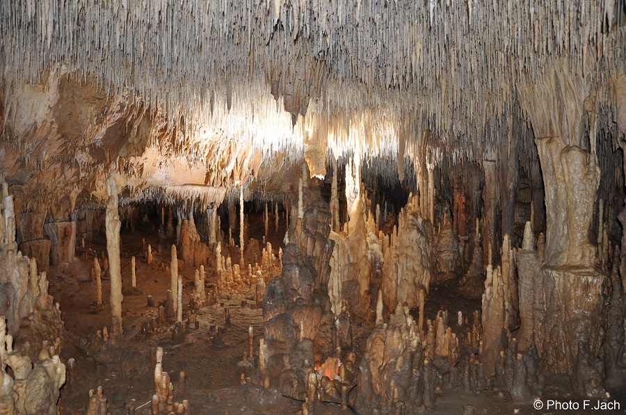 Salle des colonnes - grotte ornée de Cougnac